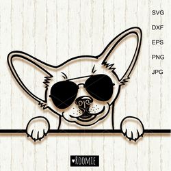Chihuahua portrait with sunglasses svg, Dog Puppy Animal Pet Clipart Vector Cut file Cutting Cricut Silhouette laser /7
