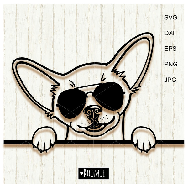Chihuahua-Dog-face-with-sunglasses.jpg