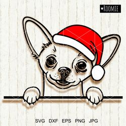 Christmas Chihuahua portrait with Santa hat svg, Dog Puppy Animal Pet Clipart Vector Cut file Cutting Cricut  /8
