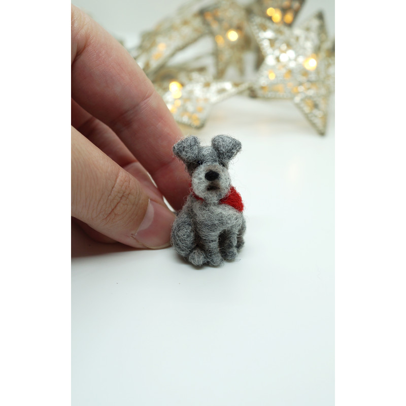 tiny-schnauzer-2