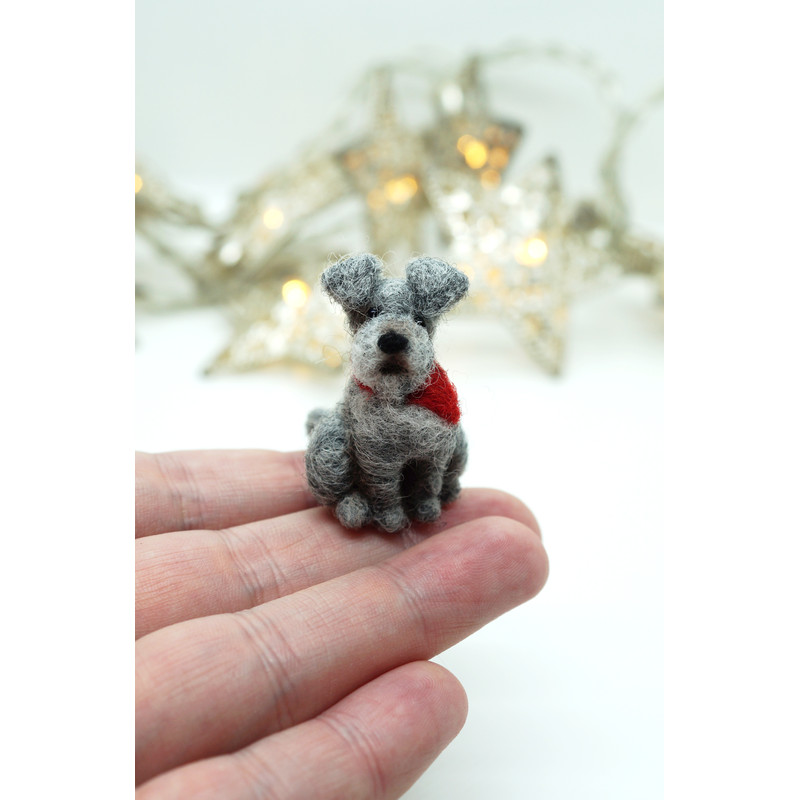 miniature-schnauzer-3