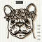 French-bulldog-portrait.jpg