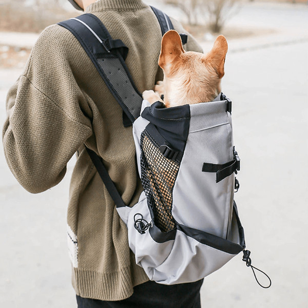 dogbackpackcarriergray.png