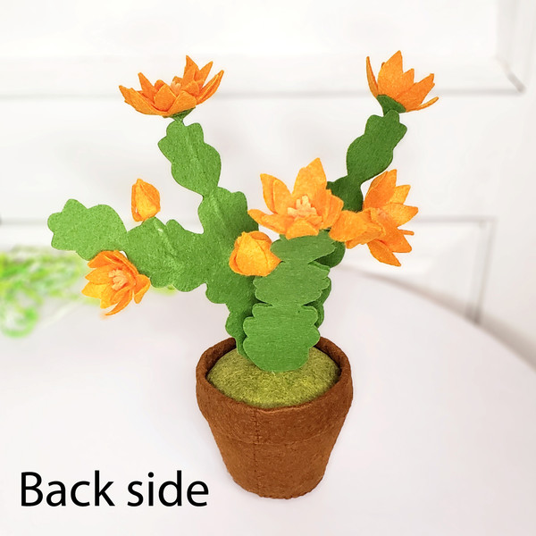 Easter cactus with orange flowers. Back side.jpg