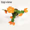 Easter cactus with orange flowers. Top view.jpg
