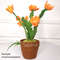 Easter cactus with orange flowers.jpg