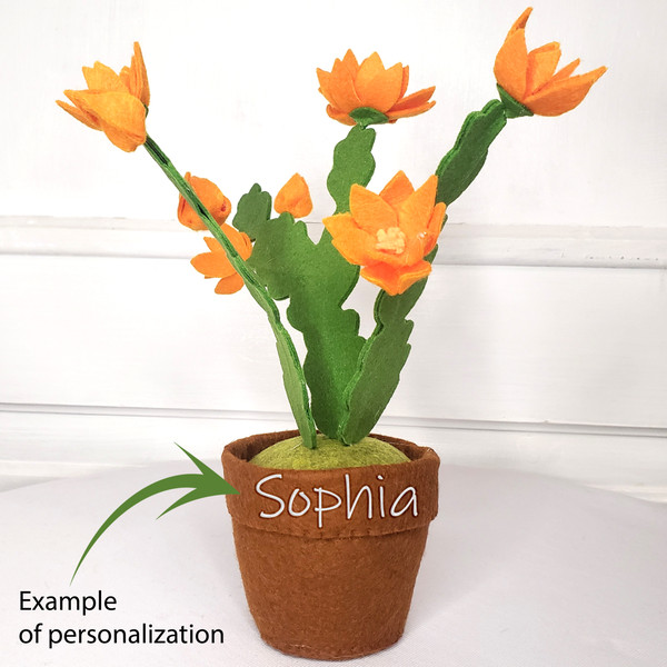 Easter cactus with orange flowers.jpg