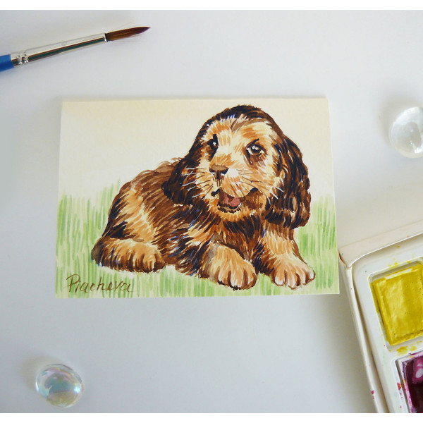 Funny Puppy Dog, ACEO, Watercolor, animal 07.JPG