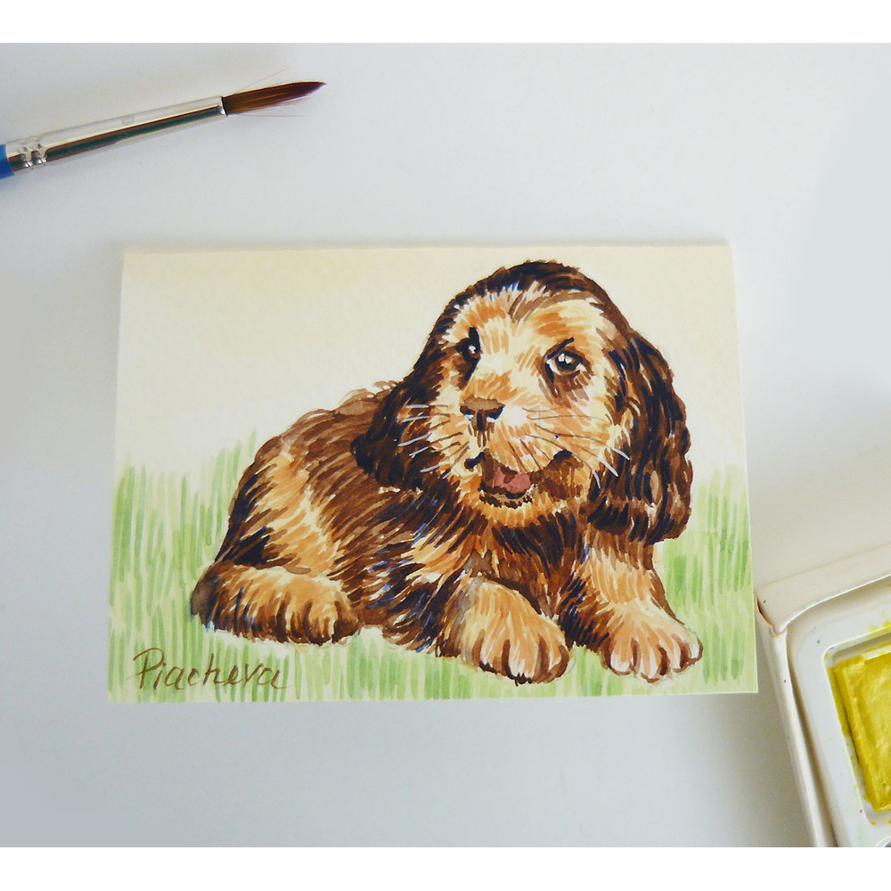 Funny Puppy Dog, ACEO, Watercolor, animal 07_1.jpg