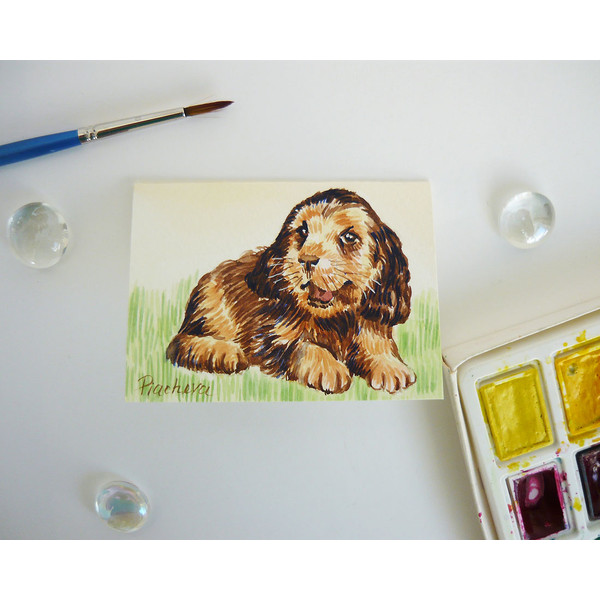 Funny Puppy Dog, ACEO, Watercolor, animal 08.JPG