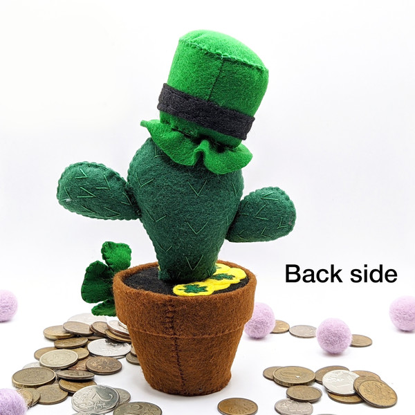 Funny cactus in a leprechaun hat. Rear view.jpg