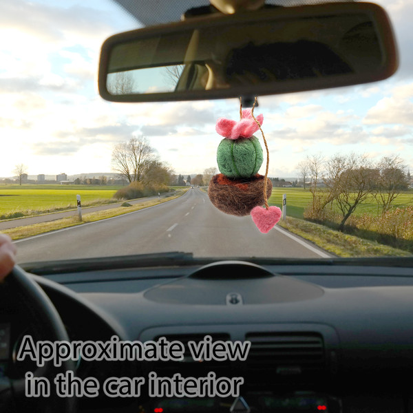 Hanging cactus ornament on the rearview mirror in the car.jpg