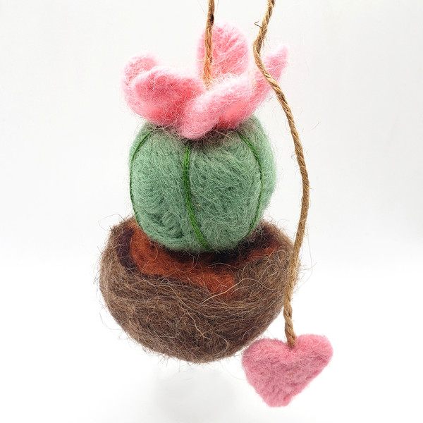Unique woolen round cactus felted from sheep wool.jpg