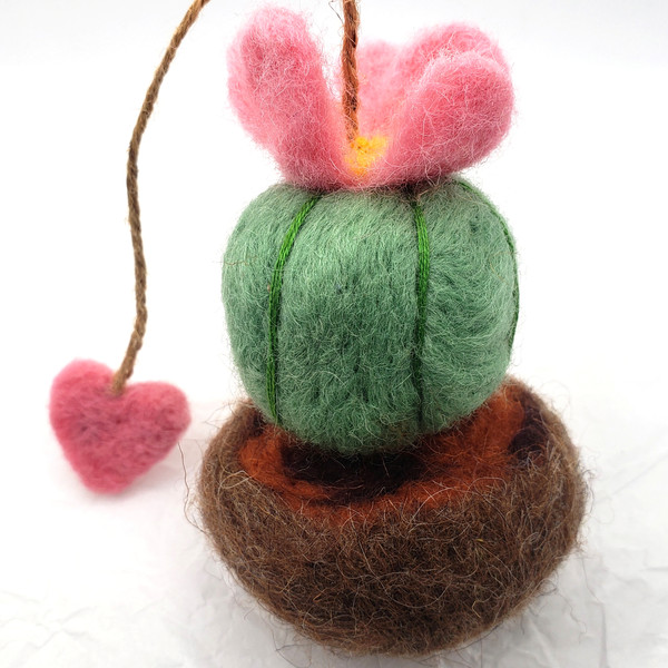 Cactus made of wool.jpg