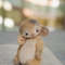 artist-toy-mouse-noah-by-tamara-chernova.jpg