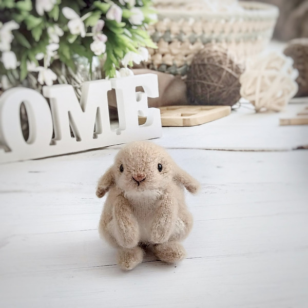 chubby-rabbit.jpg