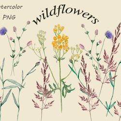 wildflowers clipart watercolor
