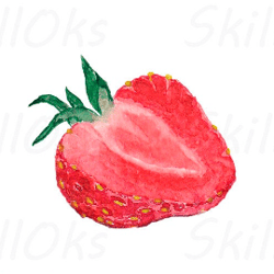 strawberry watercolor clipart digital download