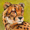 Gepard-01-00-ispr.jpg
