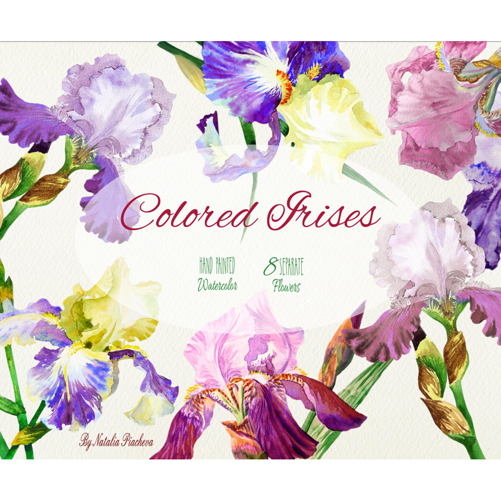 Colored Irises_cover_1_1.jpg