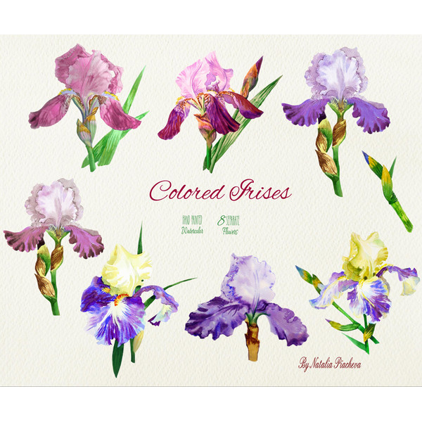 Colored Irises_cover_2.jpg