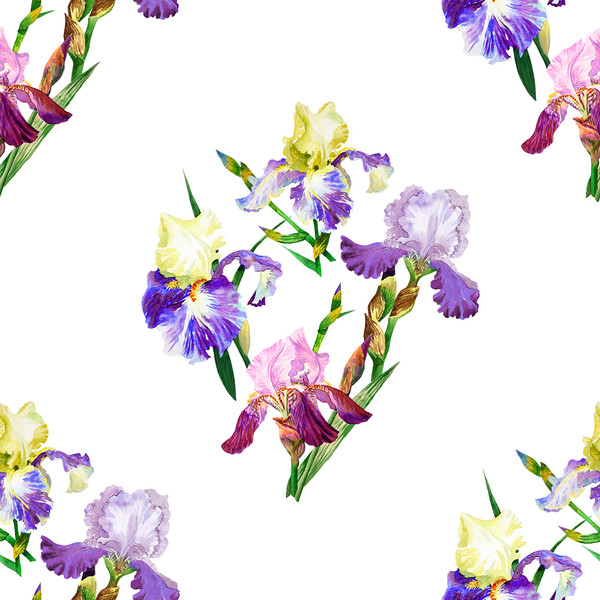 Colored irises_seamless_1.jpg
