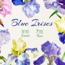 Blue Irises Watercolor Clipart flower, clip art, garden, iris, flowers clipart, floral clipart, Instant Download