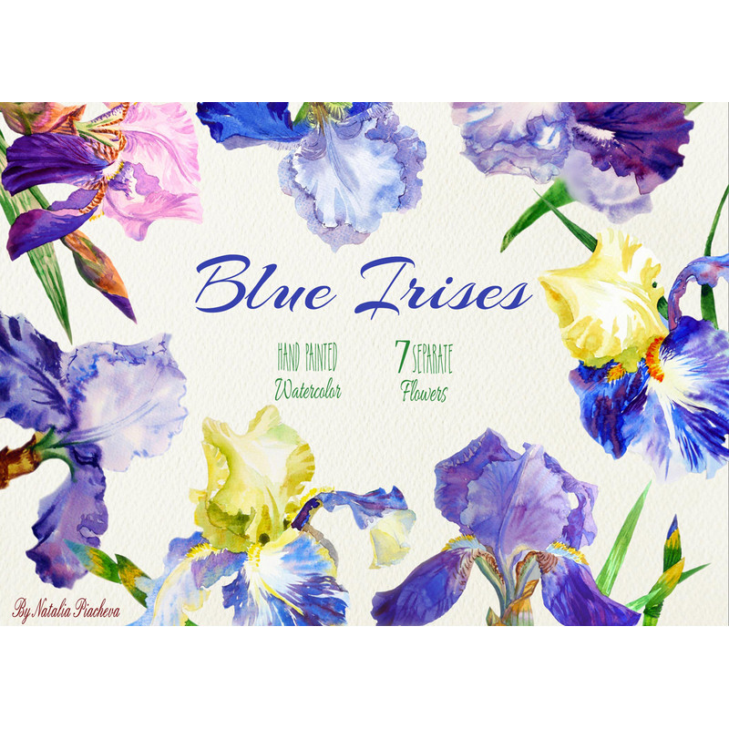 Blue Irises_cover_CM.jpg