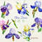 Blue Irises_cover_2_CM.jpg