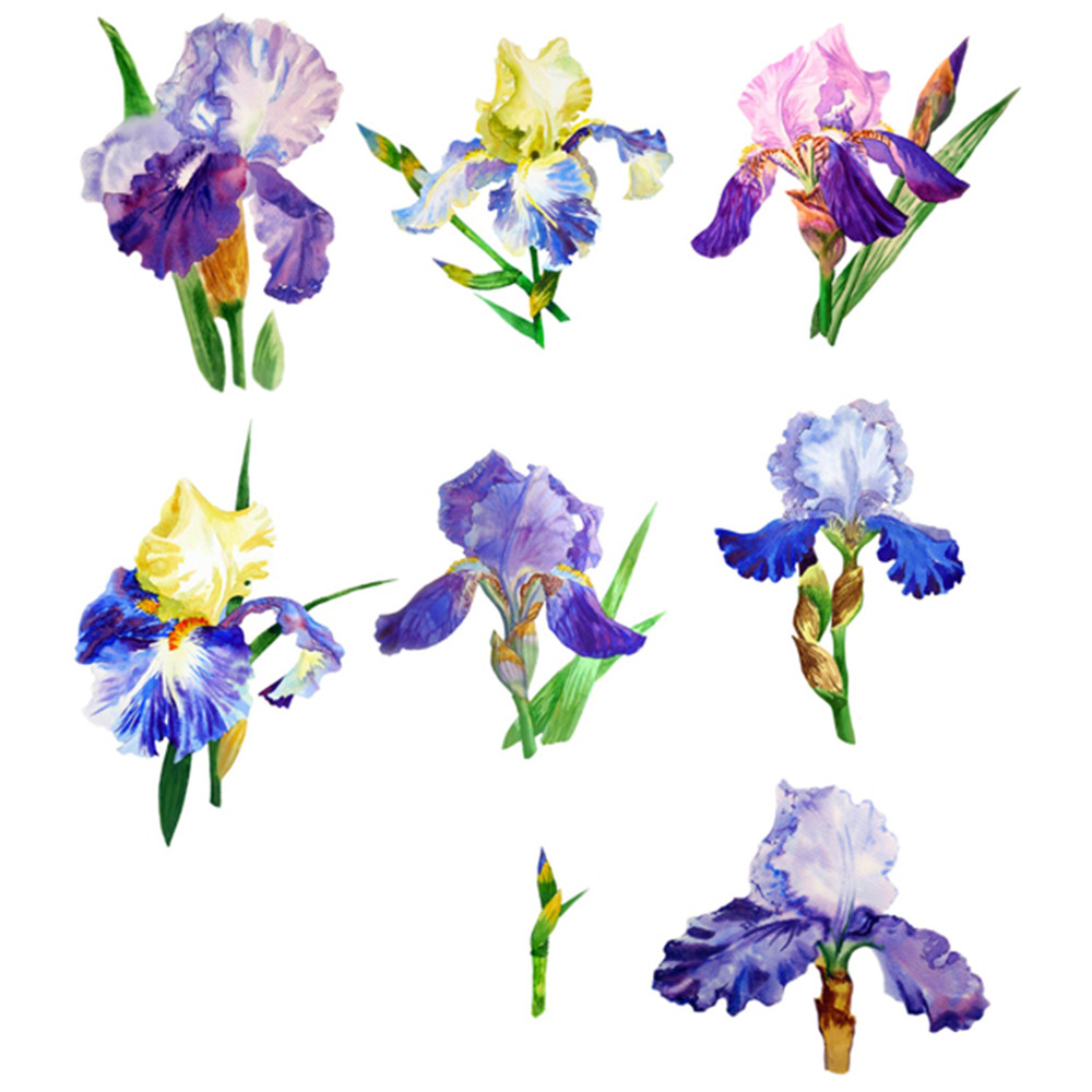 Blue Irises flowers_600.jpg