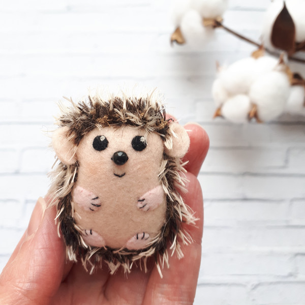 Hedgehog-gifts.jpg