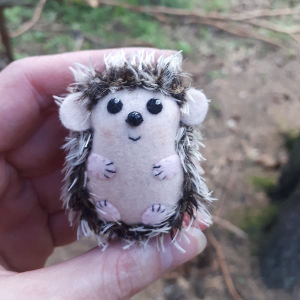 Hedgehog-gifts-1.jpg