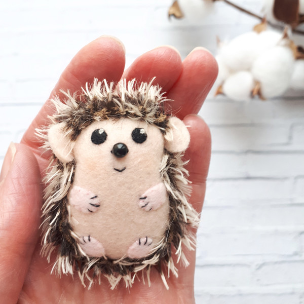 Hedgehog-gifts-6.jpg
