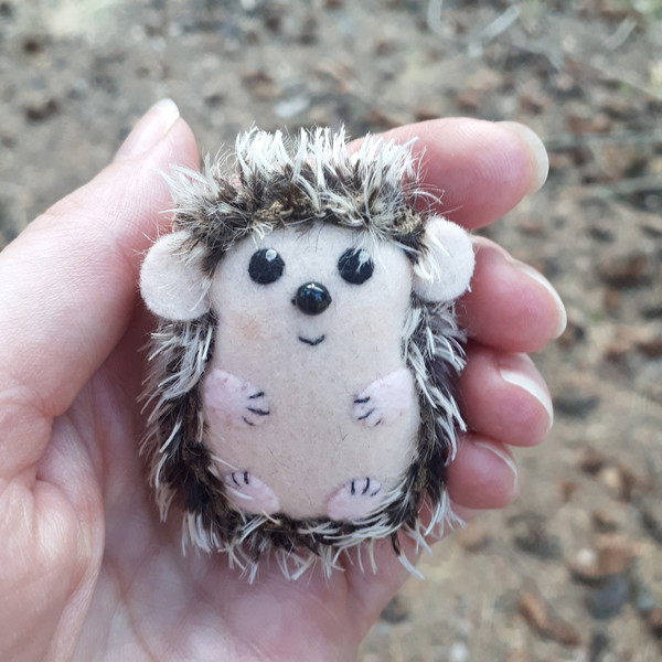 Hedgehog-gifts-8.jpg