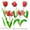 Digital clipart with tulips_cover.jpg