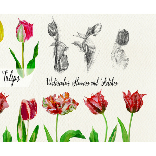 Digital clipart with tulips_new cov 3.jpg