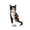 Custom-pet-Portrait-cat-illustration-2.jpg