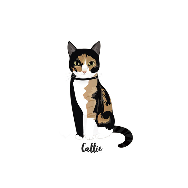 Custom-pet-Portrait-cat-illustration-2.jpg