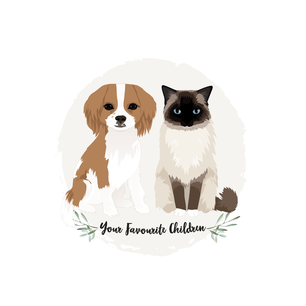 Custom-pet-Portrait-cat-illustration-5.jpg