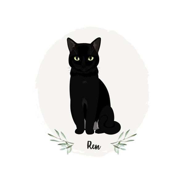 Custom-pet-Portrait-cat-illustration-6.jpg