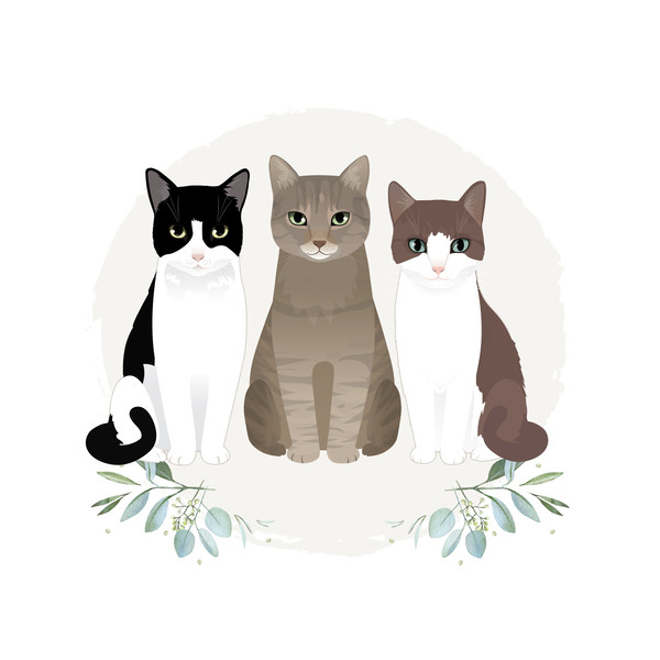 Custom-pet-Portrait-cat-illustration-7.jpg