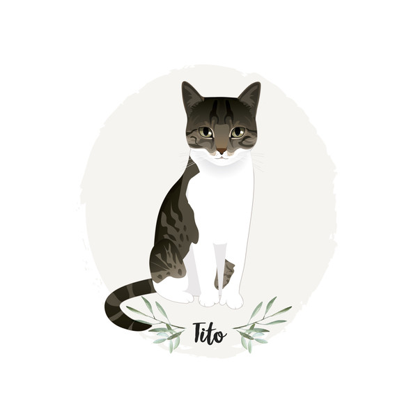 Custom-pet-Portrait-cat-illustration-9.jpg