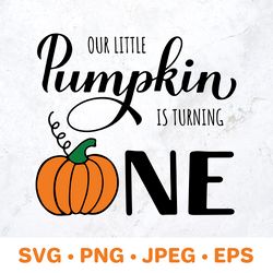 our little pumpkin is turning one. fall baby 1st birthday