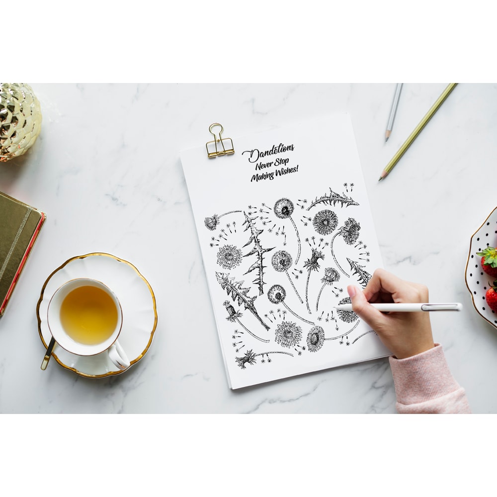 Dandelions Sketches Clipart 4.jpg