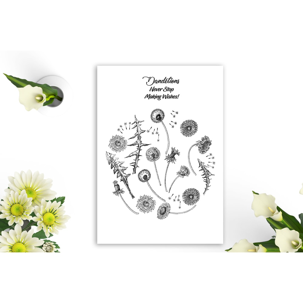 Dandelions Sketches Clipart 5.jpg