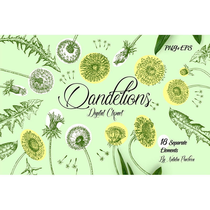 Yellow Dandelions Digital Clipart 1.jpg