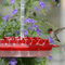 hummingbirdfeederwithbuiltinantmoat2.png