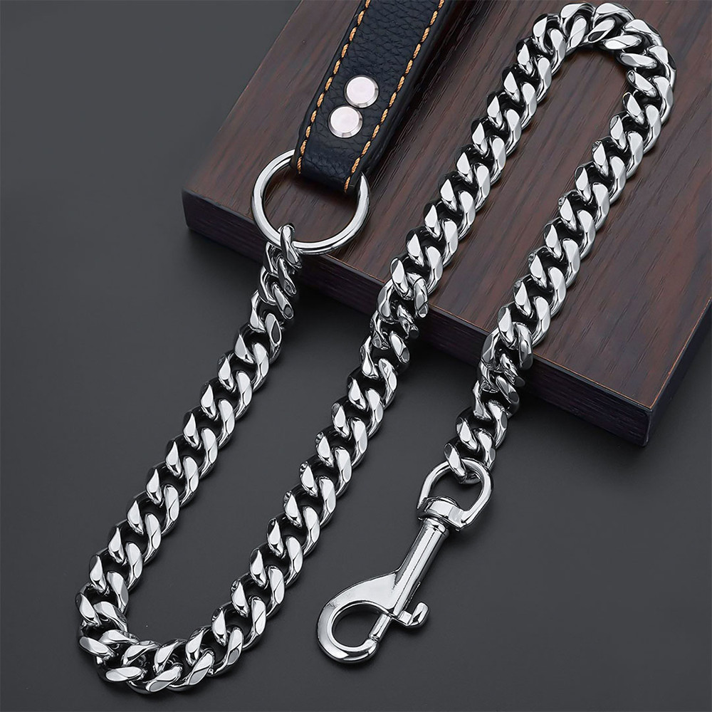 dog_leash_golden_18.jpg