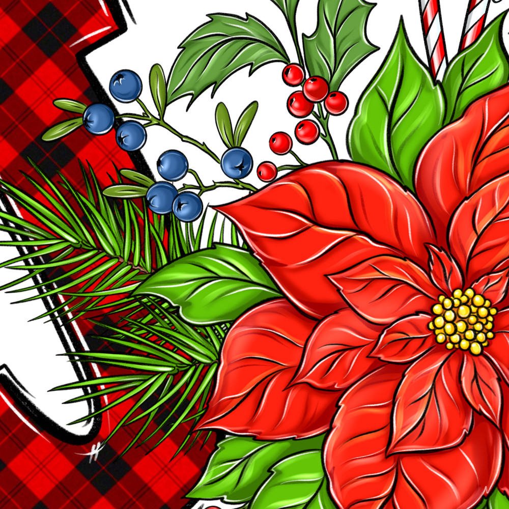 ВИЗУАЛ 7 JOY Poinsettia.jpg