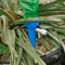 plantwaterfunnel1.png